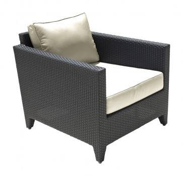 Onyx Lounge Chair w/off-white cushion