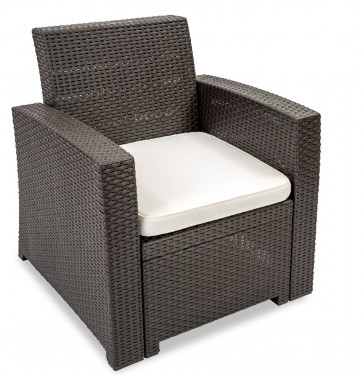 Plastique Lounge Chair w/cushion