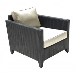 Onyx Lounge Chair w/off-white cushion